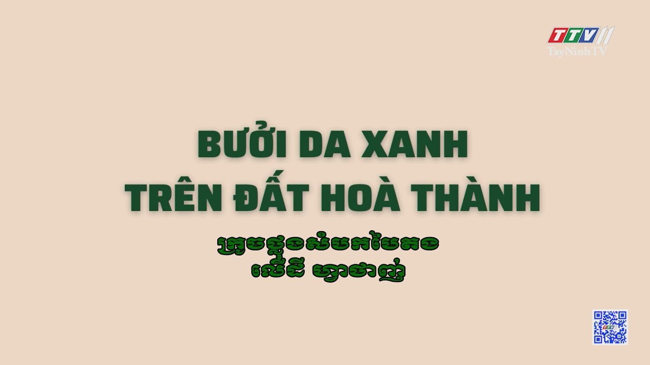 Bưởi da xanh trên đất Hòa Thành | Nông nghiệp Tây Ninh | TayNinhTVToday